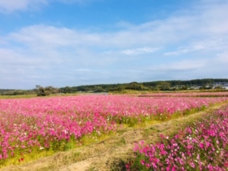 img_191130012056.jpeg