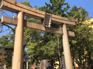 img_191130012803.jpeg