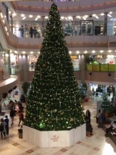 img_191130190905.jpeg