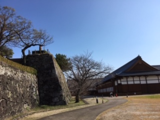 img_191231092920.jpeg