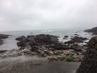 img_200131082630.jpeg