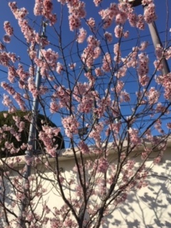 img_200229081642.jpeg