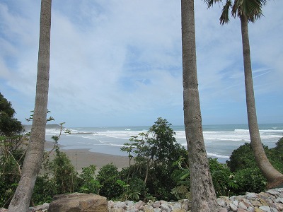 img_200229083355.jpg