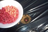 img_200229170754.jpg