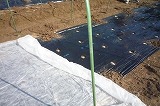 img_200229170835.jpg