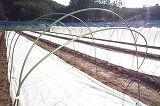 img_200229170904.jpg