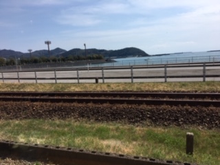 img_200331075341.jpeg