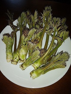 img_200331142525.jpg