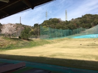 img_200331161848.jpeg