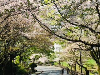 img_200430233116.jpeg
