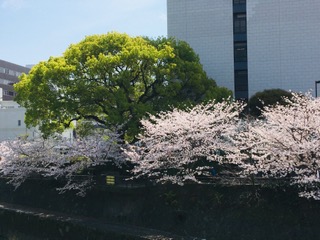 img_200430233207.jpeg