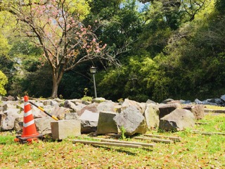 img_200430233355.jpeg
