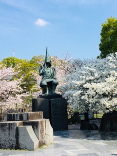 img_200430233906.jpeg