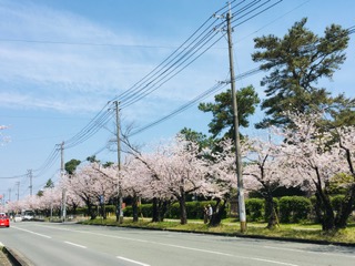 img_200430233929.jpeg
