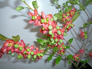 img_200531100451.jpg