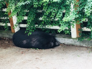 img_200531205614.jpeg
