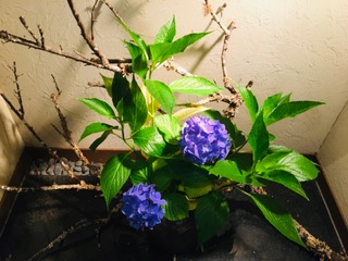 img_200630091126.jpeg
