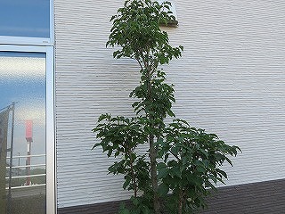 img_200630094000.jpg
