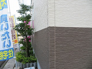img_200630094018.jpg