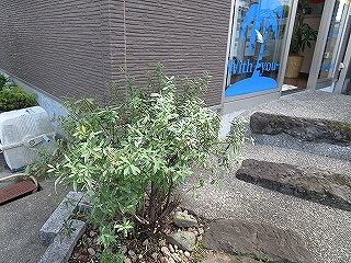 img_200630094034.jpg