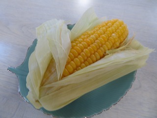 img_200630101319.jpg