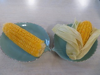 img_200630101333.jpg