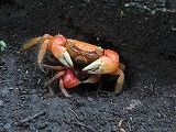 img_200630103009.jpg