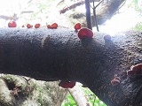 img_200630103026.jpg