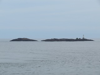 img_200630103150.jpg