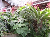 img_200630105749.jpg