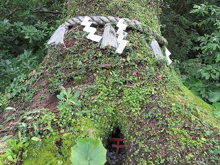 img_200630112139.jpg