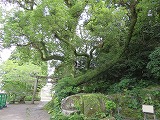 img_200630112238.jpg