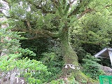 img_200630112823.jpg