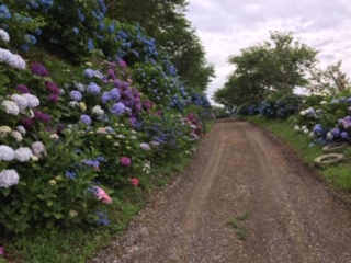 img_200630194523.jpeg
