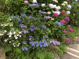 img_200630194623.jpeg