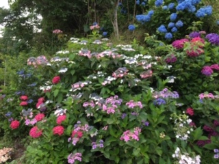 img_200630194702.jpeg