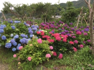 img_200630194834.jpeg