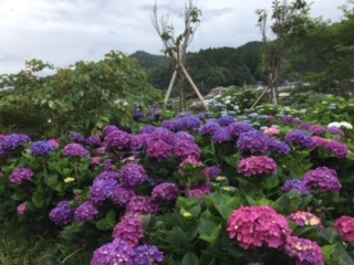img_200630194857.jpeg