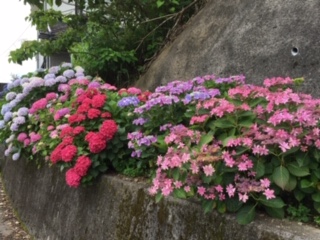 img_200630203008.jpeg