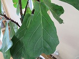 img_200731162620.jpg