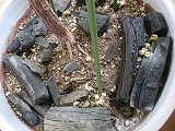 img_200731162642.jpg