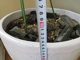 img_200731162845.jpg