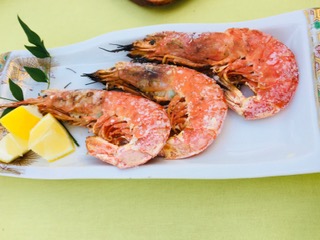img_200831122816.jpeg
