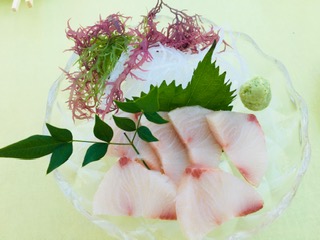 img_200831122854.jpeg