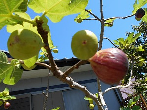 img_200831140020.jpg