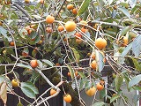 img_200930085922.jpg