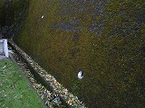 img_200930090001.jpg