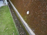 img_200930090035.jpg
