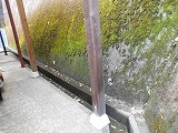 img_200930090113.jpg