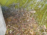 img_200930090152.jpg
